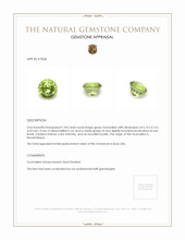 1.04 Ct. Tourmaline from Mozambique Appraisal