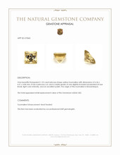 1.53 Ct. Tourmaline from Mozambique Appraisal