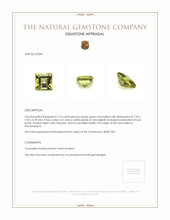 1.76 Ct. Tourmaline from Mozambique Appraisal