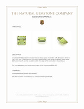 2.52 Ct. Green Tourmaline from Mozambique Appraisal