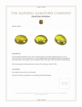 18.64 Ct. Cabochon Tourmaline from Mozambique Appraisal