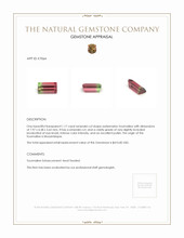 1.17 Ct. Tourmaline from Mozambique Appraisal