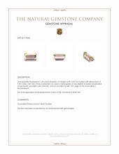 1.20 Ct. Tourmaline from Mozambique Appraisal