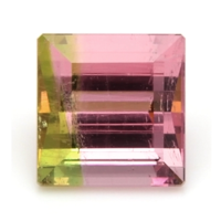 1.40 Ct. Tourmaline from Mozambique Video