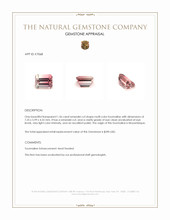 1.56 Ct. Tourmaline from Mozambique Appraisal