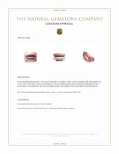 1.56 Ct. Tourmaline from Mozambique Appraisal