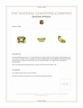 1.67 Ct. Tourmaline from Mozambique Appraisal