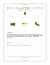 1.69 Ct. Bi Color Tourmaline from Mozambique Appraisal