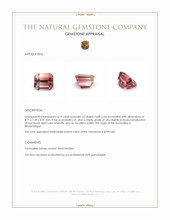 3.19 Ct. Multi Color Tourmaline from Mozambique Appraisal