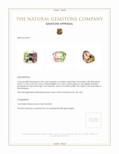 3.50 Ct. Tourmaline from Mozambique Appraisal