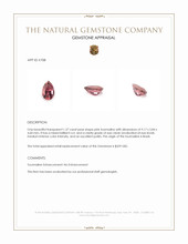 1.37 Ct. Tourmaline from Brazil Appraisal