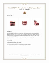 6.10 Ct. Tourmaline from Mozambique Appraisal