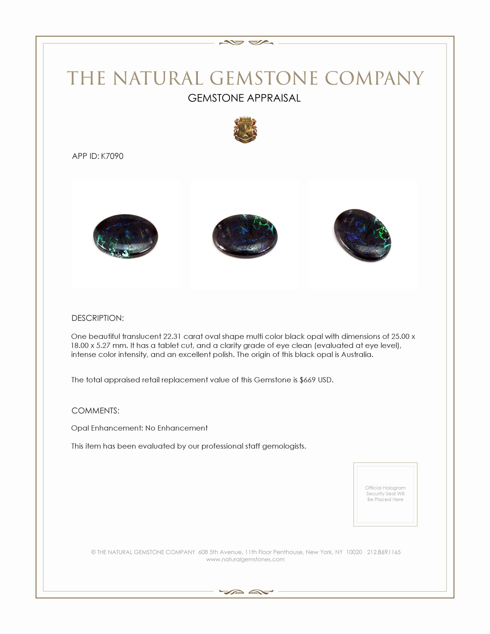 22.31 Ct. Black Opal from Australia