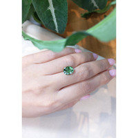 3.03 Ct. Tourmaline from Brazil Life Style