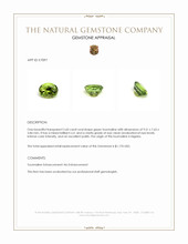 2.60 Ct. Green Tourmaline from Nigeria Appraisal