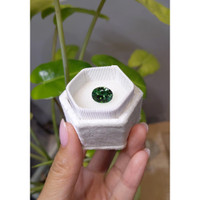 4.49 Ct. Tourmaline from Brazil Life Style