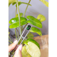 4.49 Ct. Tourmaline from Brazil Life Style