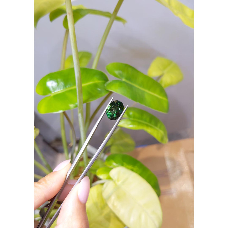 4.49 Ct. Tourmaline from Brazil