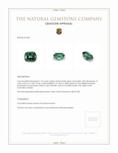 1.56 Ct. Tourmaline from Brazil Appraisal