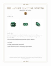 Jewelry Appraisal