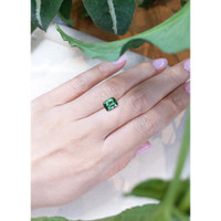 2.49 Ct. Tourmaline from Brazil Life Style