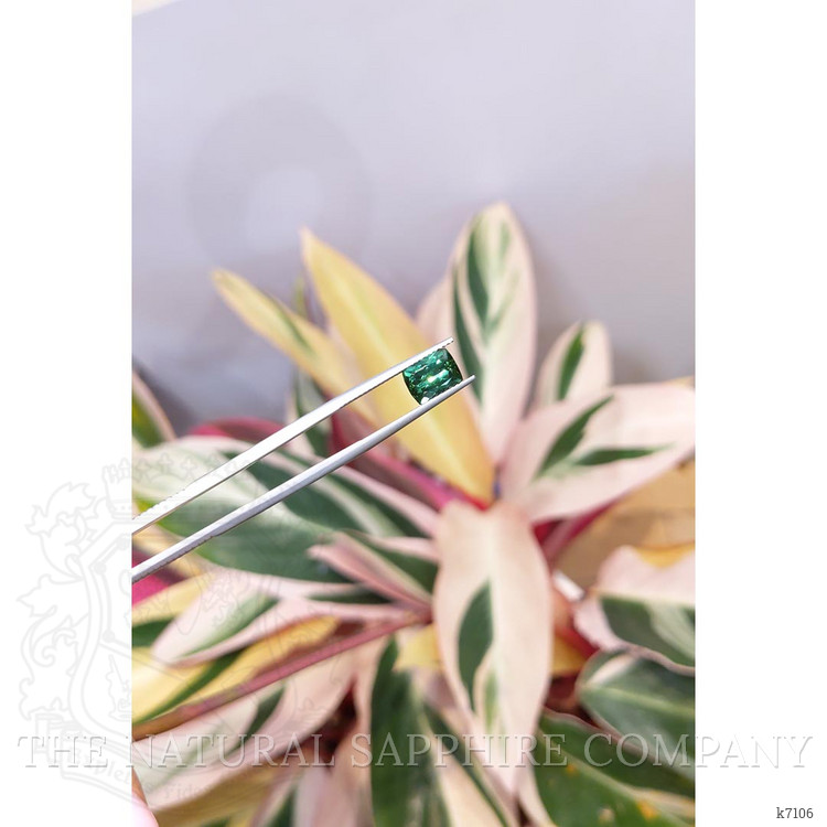 2.49 Ct. Tourmaline from Brazil