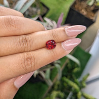 2.72 Ct. Rhodolite Garnet from Brazil Life Style