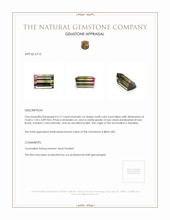 4.17 Ct. Tourmaline from Namibia Appraisal