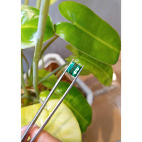 3.98 Ct. Tourmaline from Brazil Life Style