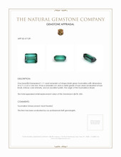 1.11 Ct. Tourmaline from Brazil Appraisal