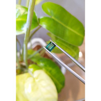 1.11 Ct. Tourmaline from Brazil Life Style