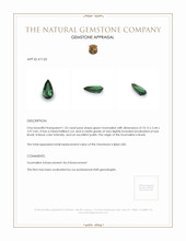 1.33 Ct. Tourmaline from Brazil Appraisal