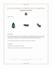 1.33 Ct. Tourmaline from Brazil Appraisal