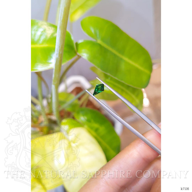 0.64 Ct. Tsavorite Garnet from Tanzania