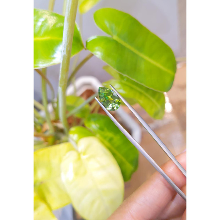 3.39 Ct. Tourmaline from Mozambique