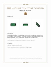 1.17 Ct. Tourmaline from Brazil Appraisal