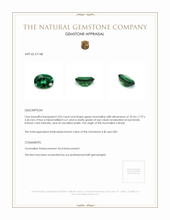 3.03 Ct. Tourmaline from Brazil Appraisal