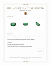 1.72 Ct. Tourmaline from Brazil Appraisal
