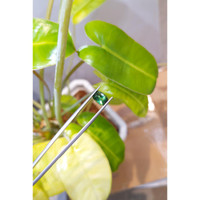 1.72 Ct. Tourmaline from Brazil Life Style