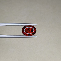 3.01 Ct. Rhodolite Garnet from Mozambique Life Style