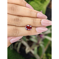 3.26 Ct. Rhodolite Garnet from Mozambique Life Style