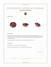 4.83 Ct. Rhodolite Garnet from Ceylon (Sri Lanka) Appraisal
