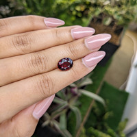 4.83 Ct. Rhodolite Garnet from Ceylon (Sri Lanka) Life Style