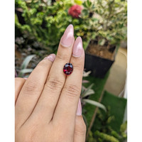 4.83 Ct. Rhodolite Garnet from Ceylon (Sri Lanka) Life Style