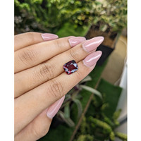 5.54 Ct. Rhodolite Garnet from Tanzania Life Style