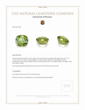 15.23 Ct. Tourmaline from Brazil Appraisal