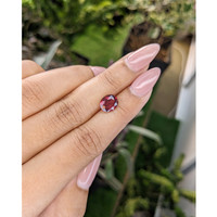 2.48 Ct. Rhodolite Garnet from Madagascar Life Style