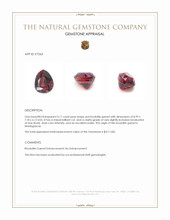 3.17 Ct. Red Rhodolite Garnet from Madagascar Appraisal