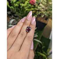 5.63 Ct. Rhodolite Garnet from Zimbabwe Life Style
