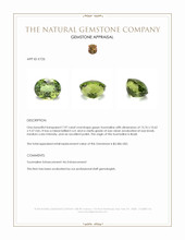 7.97 Ct. Tourmaline from Brazil Appraisal